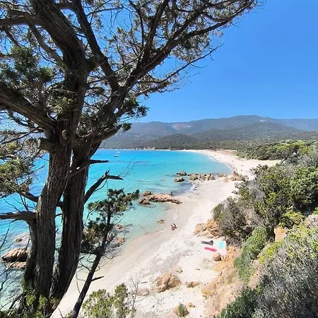 Apartmán Mini-villa 4 Personnes - Solea 20 - Vue Serra-di-Ferro (Corsica)